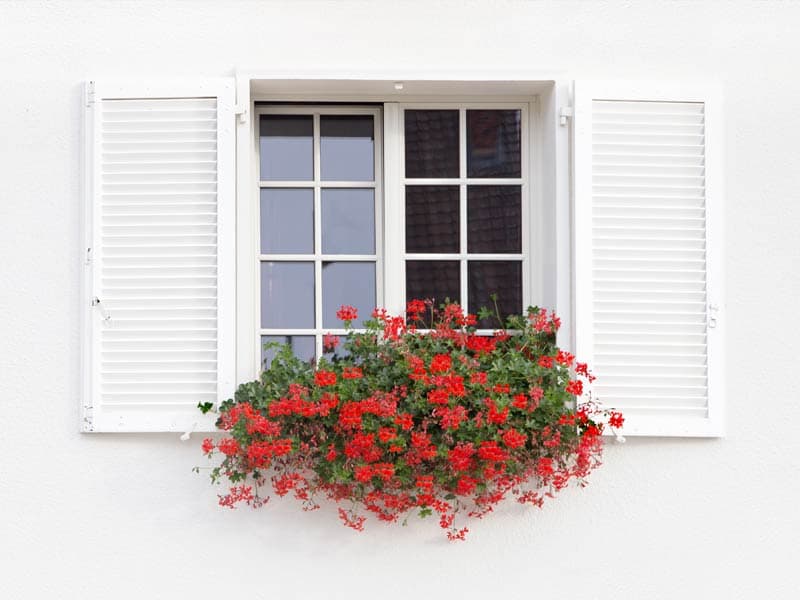 Fenster und Türen in Tischlerqualität